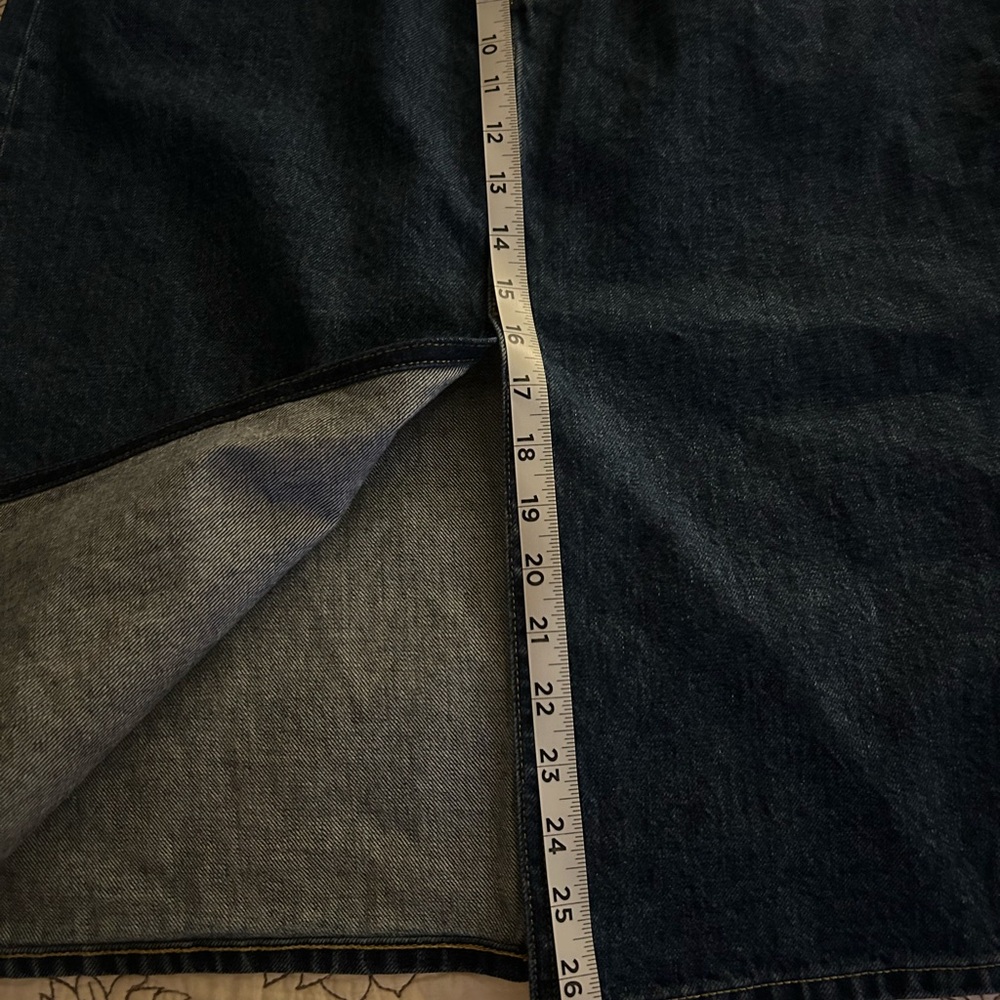 Everlane Denim Skirt